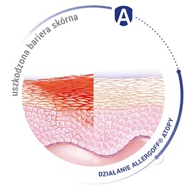 Grafika przedstawiająca skórę